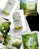 MORINGA POWDER 200g  NATURALLY GROWN DIRECT FROM FARM 100% LEAF POWDER WITHOUT PRESERVATIVE AND WITHOUT ANY COLOR  1.395/G